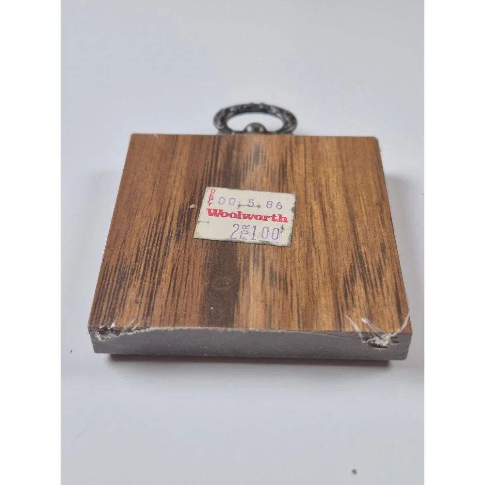 Vintage Woolworth Turtle Motivational Wood Wall Plaque Sticking His Neck‎ Out